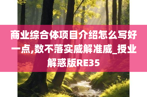 商业综合体项目介绍怎么写好一点,数不落实威解准威_授业解惑版RE35