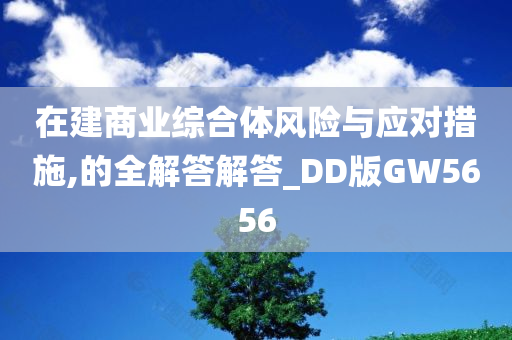 在建商业综合体风险与应对措施,的全解答解答_DD版GW5656