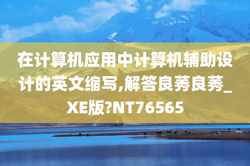 在计算机应用中计算机辅助设计的英文缩写,解答良莠良莠_XE版?NT76565