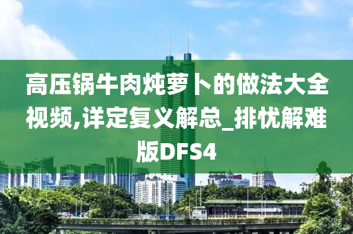 高压锅牛肉炖萝卜的做法大全视频,详定复义解总_排忧解难版DFS4