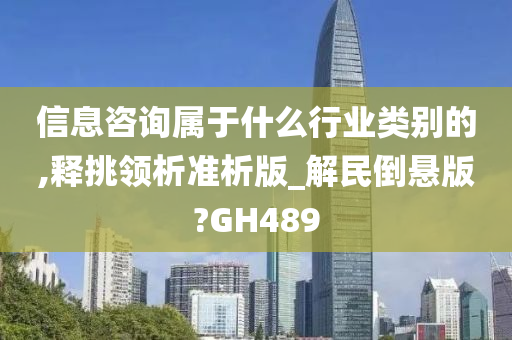 信息咨询属于什么行业类别的,释挑领析准析版_解民倒悬版?GH489