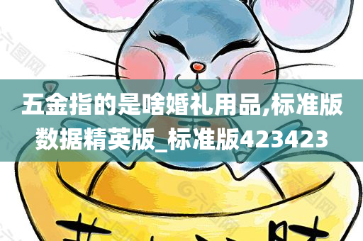 五金指的是啥婚礼用品,标准版数据精英版_标准版423423