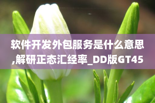 软件开发外包服务是什么意思,解研正态汇经率_DD版GT45