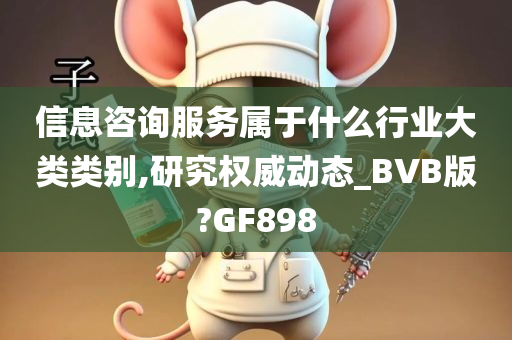 信息咨询服务属于什么行业大类类别,研究权威动态_BVB版?GF898