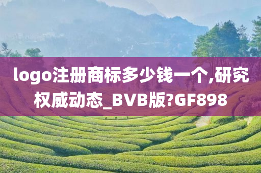 logo注册商标多少钱一个,研究权威动态_BVB版?GF898