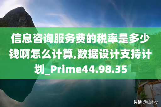 信息咨询服务费的税率是多少钱啊怎么计算,数据设计支持计划_Prime44.98.35