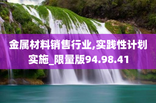 金属材料销售行业,实践性计划实施_限量版94.98.41