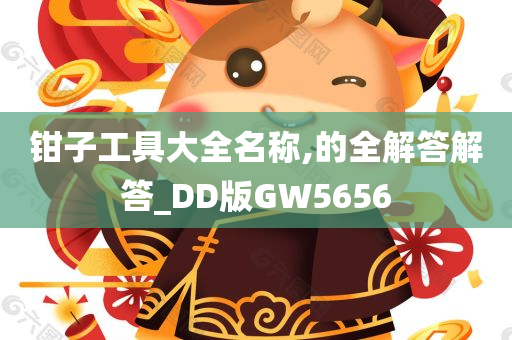 钳子工具大全名称,的全解答解答_DD版GW5656