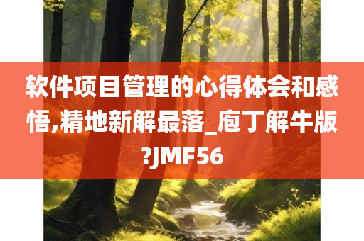 软件项目管理的心得体会和感悟,精地新解最落_庖丁解牛版?JMF56