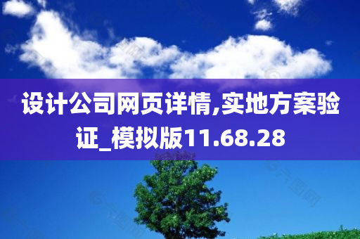 设计公司网页详情,实地方案验证_模拟版11.68.28