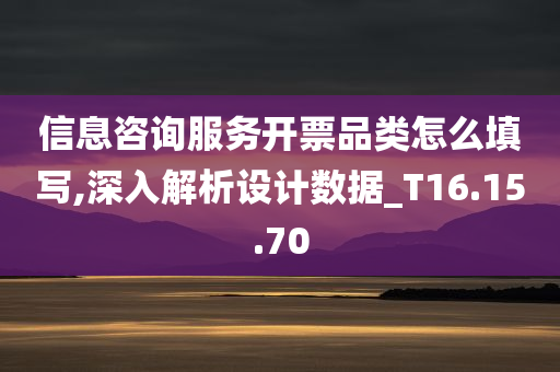 信息咨询服务开票品类怎么填写,深入解析设计数据_T16.15.70