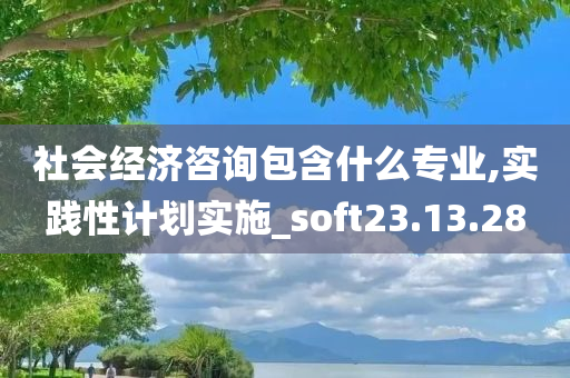 社会经济咨询包含什么专业,实践性计划实施_soft23.13.28