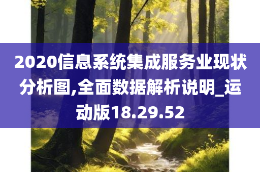 2020信息系统集成服务业现状分析图,全面数据解析说明_运动版18.29.52