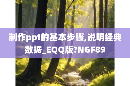 制作ppt的基本步骤,说明经典数据_EQQ版?NGF89