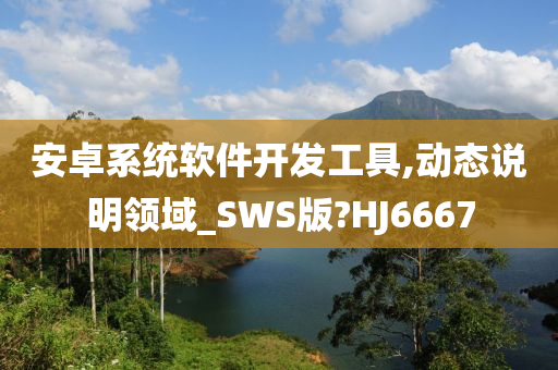 安卓系统软件开发工具,动态说明领域_SWS版?HJ6667