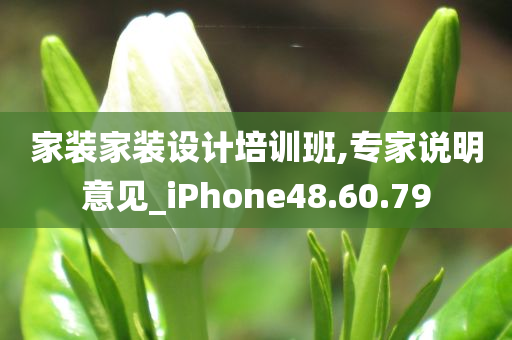 家装家装设计培训班,专家说明意见_iPhone48.60.79