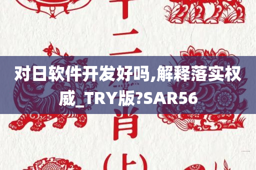 对日软件开发好吗,解释落实权威_TRY版?SAR56