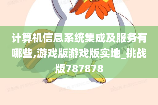 计算机信息系统集成及服务有哪些,游戏版游戏版实地_挑战版787878