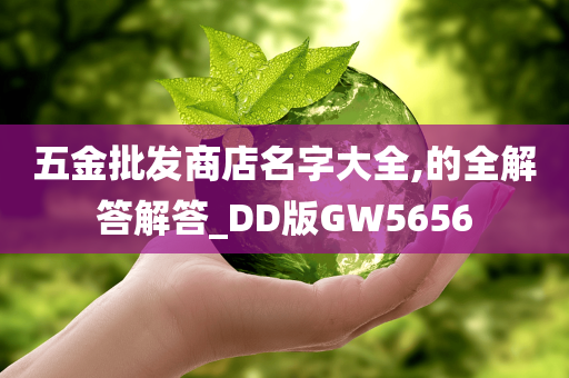 五金批发商店名字大全,的全解答解答_DD版GW5656