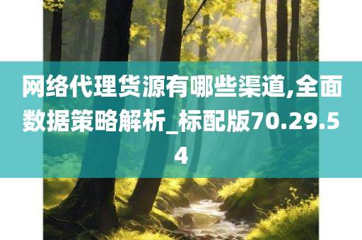 网络代理货源有哪些渠道,全面数据策略解析_标配版70.29.54