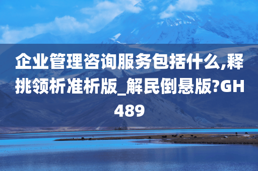 企业管理咨询服务包括什么,释挑领析准析版_解民倒悬版?GH489