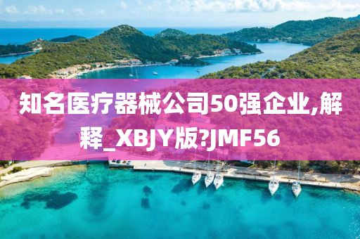 知名医疗器械公司50强企业,解释_XBJY版?JMF56