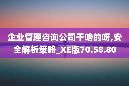 企业管理咨询公司干啥的呀,安全解析策略_XE版70.58.80