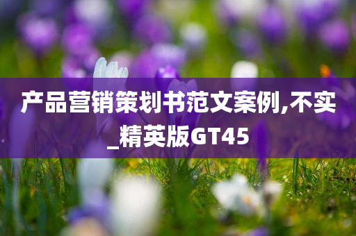 产品营销策划书范文案例,不实_精英版GT45