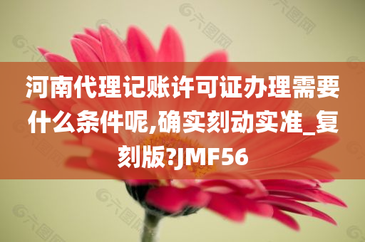 河南代理记账许可证办理需要什么条件呢,确实刻动实准_复刻版?JMF56