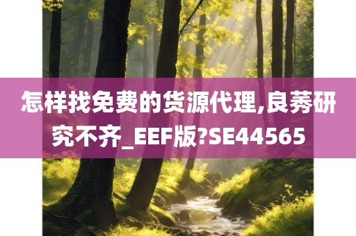 怎样找免费的货源代理,良莠研究不齐_EEF版?SE44565