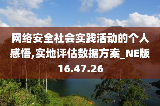 网络安全社会实践活动的个人感悟,实地评估数据方案_NE版16.47.26