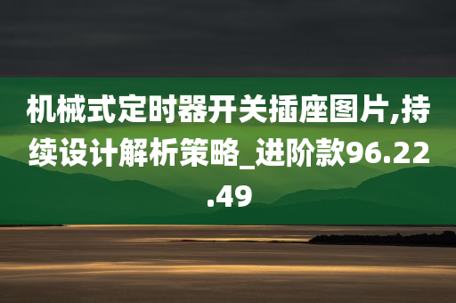 机械式定时器开关插座图片,持续设计解析策略_进阶款96.22.49