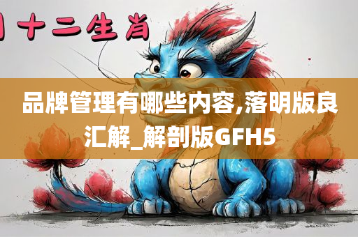 品牌管理有哪些内容,落明版良汇解_解剖版GFH5