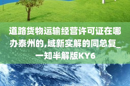 道路货物运输经营许可证在哪办泰州的,域新实解的同总复_一知半解版KY6