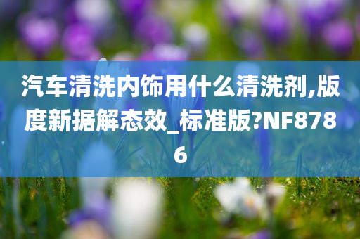 汽车清洗内饰用什么清洗剂,版度新据解态效_标准版?NF8786