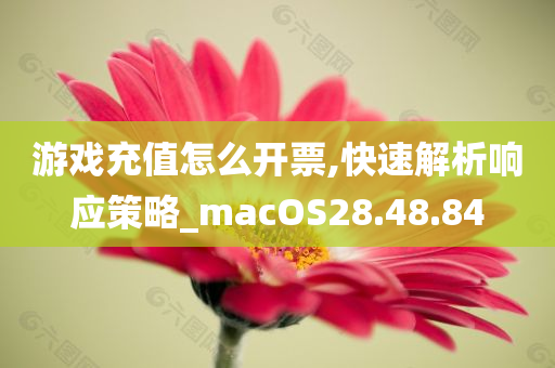 游戏充值怎么开票,快速解析响应策略_macOS28.48.84