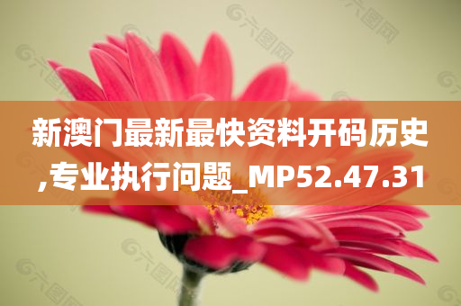 新澳门最新最快资料开码历史,专业执行问题_MP52.47.31