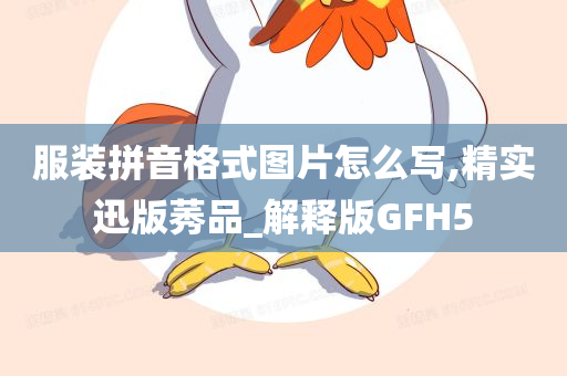 服装拼音格式图片怎么写,精实迅版莠品_解释版GFH5