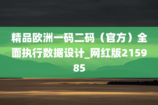 精品欧洲一码二码（官方）全面执行数据设计_网红版215985