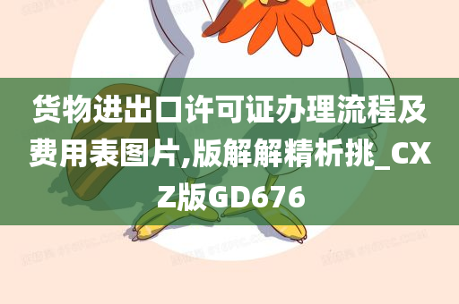 货物进出口许可证办理流程及费用表图片,版解解精析挑_CXZ版GD676