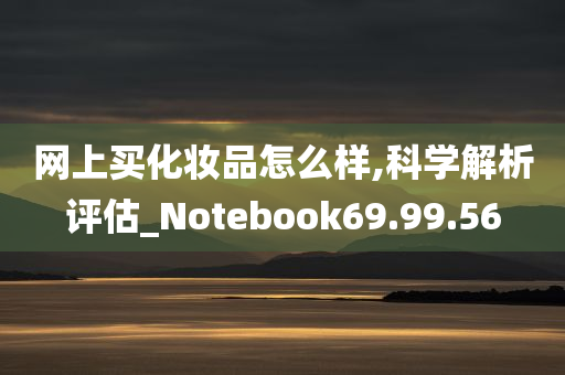 网上买化妆品怎么样,科学解析评估_Notebook69.99.56