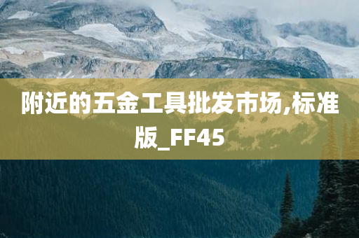 附近的五金工具批发市场,标准版_FF45