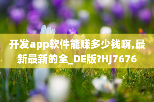 开发app软件能赚多少钱啊,最新最新的全_DE版?HJ7676