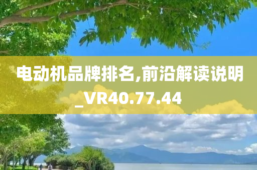 电动机品牌排名,前沿解读说明_VR40.77.44