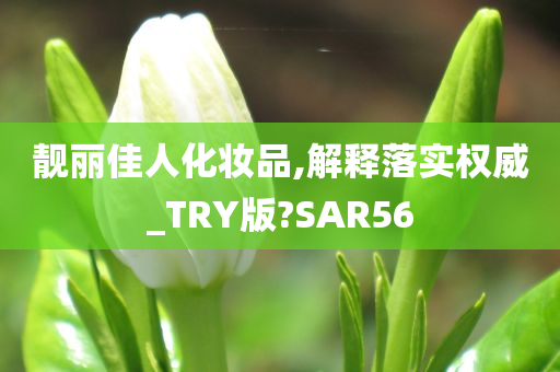 靓丽佳人化妆品,解释落实权威_TRY版?SAR56