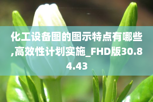 化工设备图的图示特点有哪些,高效性计划实施_FHD版30.84.43