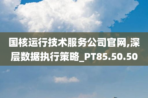 国核运行技术服务公司官网,深层数据执行策略_PT85.50.50