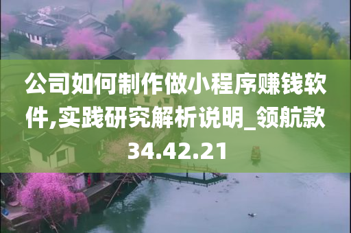 公司如何制作做小程序赚钱软件,实践研究解析说明_领航款34.42.21