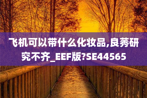 飞机可以带什么化妆品,良莠研究不齐_EEF版?SE44565