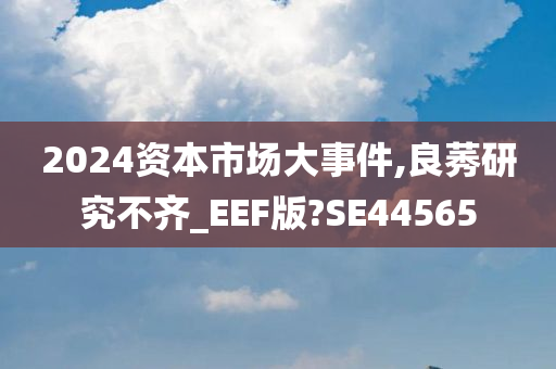 2024资本市场大事件,良莠研究不齐_EEF版?SE44565